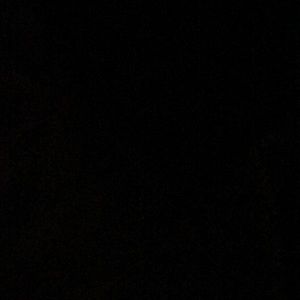 Meet your Posher, Jerry